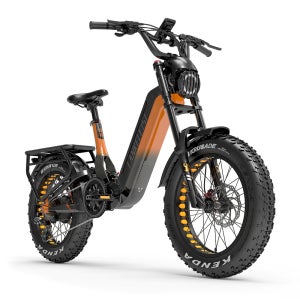 랑케레이시 RX800plus 전기자전거 20A 전동자전거 48V1000W 그린색 관세포함