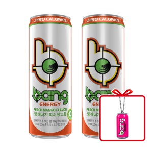 뱅 에너지 피치 망고향 CAN 355ml 24개