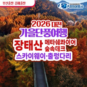 부산출발 대전 장태산 자연휴량림 메타쉐콰이어 단풍 가을산행 가을 축제 관광버스 경희여행사