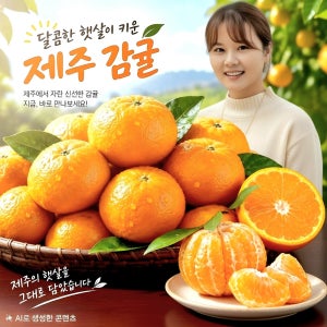 훈이네농장 제주 햇 노지감귤 프리미엄과(S과), 10kg, 1개