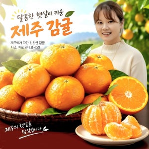 훈이네농장 제주 햇 노지감귤 프리미엄과(S과), 10kg, 1개