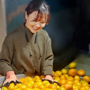 훈이네농장 제주 햇 노지감귤 유라실생 극소과(꼬마귤), 10kg, 1개