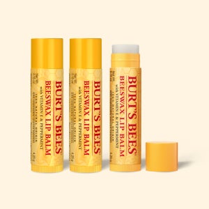 버츠비 모이스춰라이징 립 밤 4.25g 비즈왁스,3개