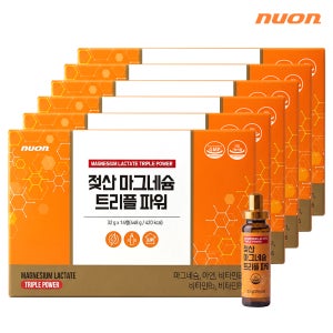 뉴온 젖산 마그네슘 트리플 파워 액상 마시는 마그네슘 14개입, 6개