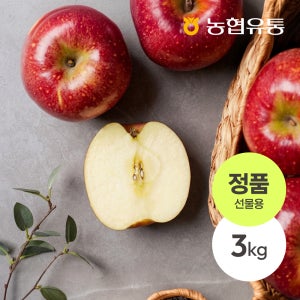 [문경농협] 문경 감홍 사과 고당도 꿀사과 산지직송 제철과일 선물용 3kg, 1개