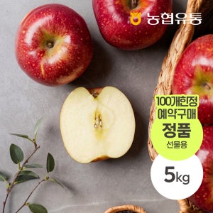 [문경농협] 문경 감홍 사과 고당도 꿀사과 산지직송 제철과일 선물용 5kg, 1개