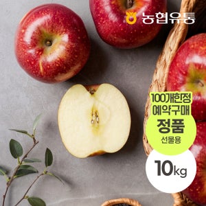 [문경농협] 문경 감홍 사과 고당도 꿀사과 산지직송 제철과일 선물용 10kg, 1개