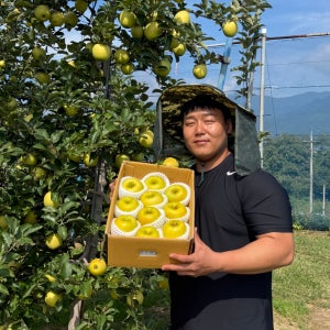 영주 아오리 아리수 시나노골드 부사 사과 2.5kg 5kg