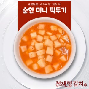 순한 미니 깍두기 국산 안매운 김치 어린이 경상도 포항 수제전문 천재령김치 - 1kg
