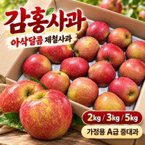 안동 고당도 감홍사과 2kg 3kg 5kg 중대과 가정용 산지직송 제철사과