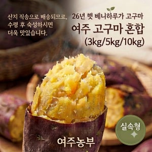 26년 햇 베니하루카 고구마 비세척 10kg