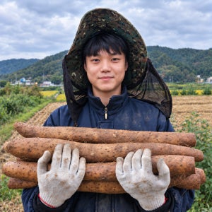 광고 메인 이미지