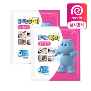 물먹는하마 구석구석 시트형 제습제 10개입, 2개