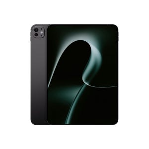 애플 아이패드 프로 11 M4 WiFi 1TB 나노텍스쳐 스페이스블랙 애플케어플러스 적용