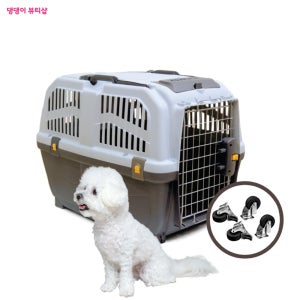 고양이 켄넬 강아지 케이지 애견 이동장 캐리어 스쿠도켄넬 2