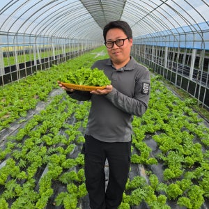 [청년농부 산지직송] 와사비나 와사비맛 쌈채소 특수채소 국내산 300g, 1개