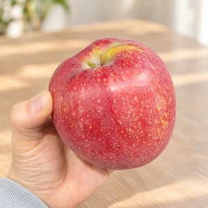제철과일 고당도 감홍사과 특상품 특대과 선물용 가정용 산지직송 2kg 3kg 5kg