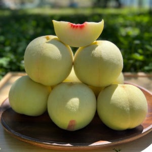 설도 복숭아 고당도 2kg