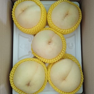 설아 설리 복숭아 2kg 상위1프로 특품 선물용 만생종 백도 당도선별 늦복숭아 아라의선