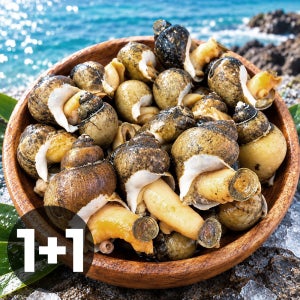 철따라장터 동해 바다 자연산 자숙 골뱅이 흑고동 400g 1+1 (총 800g)