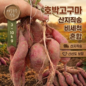 여주 꿀 호박고구마 비세척 햇고구 10kg