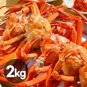 [테소로]포항 구룡포 홍게 대게 홍게제철 산지직송 찜 수율 80%이