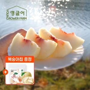 설아복숭아 2.2kg(5-9과) [가정용] 특대과 고당도 아삭 달콤 쫀득 설도 설리 설아 겨울 복숭아 2.2kg, 1개