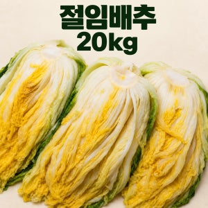 국내산 김장 절임배추 20kg 해남, 강원도 절인배추 예약배송 10월 26부터 순차발송