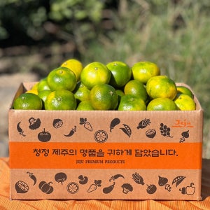 당도좋은 제주 극조생 타이백감귤 중대(L-2L), 2.5kg, 1개