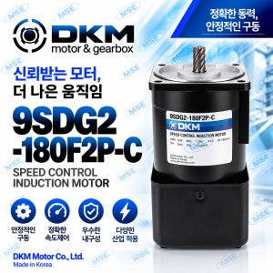 DKM 9SDG2-180F2P-C 180W AC 스피드 인덕션 모터 단상 220V 60Hz