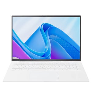 LG 그램 43.1cm(17인치) 울트라5 125H 16GB 1TB 윈도우11 17Z90S-GA5SK