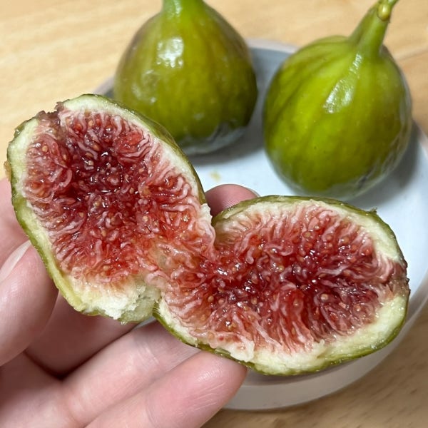 남도의식탁 당일수확 18브릭스 청무화과 1kg 21~28과수