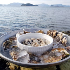 통영 생굴 1kg 횟감용 김장용 산지직송