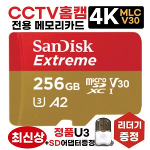 이지비즈 H1C SD카드 홈캠CCTV전용 메모리카드 256GB 4K V30 U3