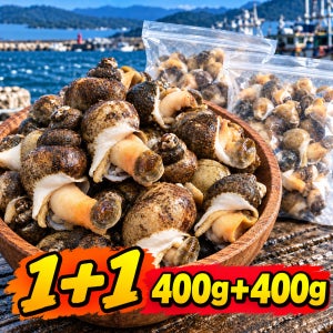더나함 동해안 자숙 흑고동 골뱅이 400g 2팩 총 800g