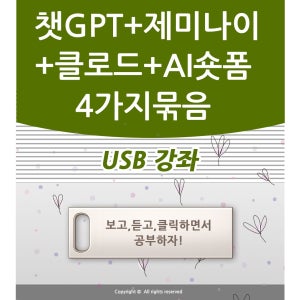 AI 4종 챗GPT 기초 실무 제미나이 가이드 클로드 AI로 숏폼 동영상강의 책강좌 USB