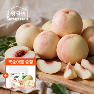 설아복숭아 4kg(18-22과) [소과] 산지직송 쫀득 달콤 고당도 첫눈 겨울 설도 설리 설아 복숭아 4kg, 1개