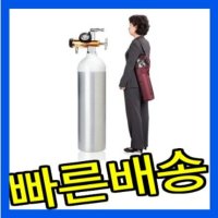 오투캐어300 2.8리터 휴대용 이동용 의료용산소호흡기 산소공급기 건식 산소완충