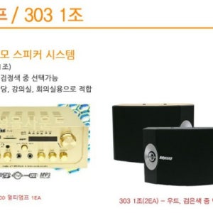 음향패키지-6 / 200W~최대400W 스피커시스템 / 미니앰프(USB,AUX,라디오) 스피커세트 / KP200앰프 , 303스피커2개(브라켓포함)