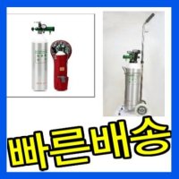 라파오투 4.6L 휴대용 이동용 의료용산소호흡기 산소공급기 풀셋트 산소충전