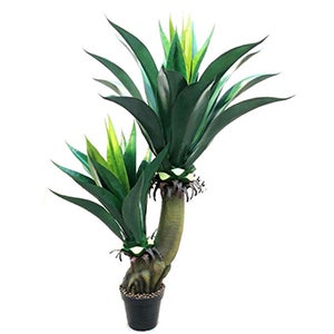 조화 아가베 아테누아타 인조 인왕관 160cm 조화다육 인조선인장 인테리어나무 리얼터치