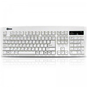 QSENN SEM-DT35 NEW PS2 (화이트)