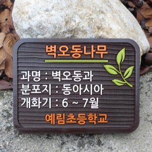 [장식가-996] 수목표찰 나무이름표 원목명패 우드표찰 꽃명찰 학교팻말 태산목 벽오동나무 굴피나무 산수유 청단풍 배롱나무 밤나무 동백나무 모과 종려나무