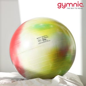 짐닉 아르떼 55cm 65cm 75cm 스트레칭 밸런스운동 임산부 홈트레이닝 필라테스짐볼