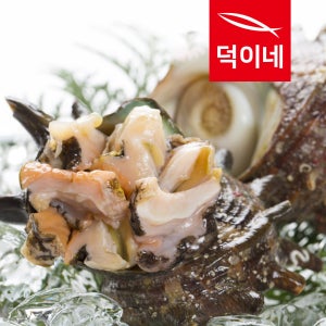 산지직송 남해안 뿔소라 1K 산지직송