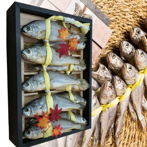 영광 녹차굴비 명장2호 10미(22-23cm 10마리x1두름)/영광법성포에서 제대로 말린 특허인증 굴비선물세트