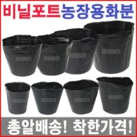 비닐포트/육묘/칼라/플라스틱/농장/블루베리/모종화분