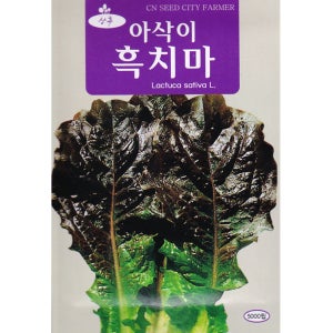 아삭이 흑치마 상추 씨앗 5000립 종자