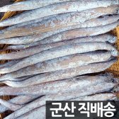 반건조 풀치 47-53cm 갈치 새끼 / 국내산/군산항직송/수미네 반찬/ 새끼갈치