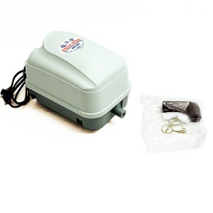 필그린 브로와 PD-20 [20W]